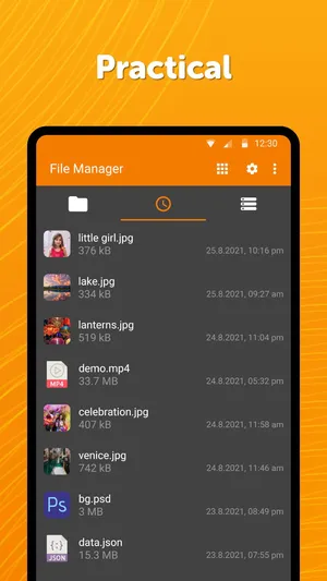 Simple File Manager Pro